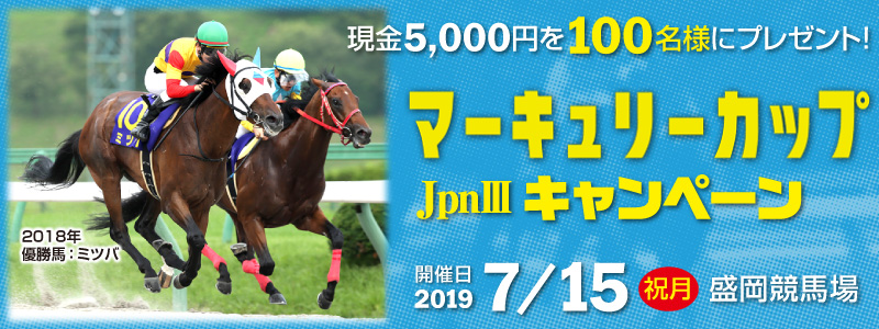 y苣nz}[L[JbviJpnIIIjLy[@2019N715ijj@5,000~100lɃv[gI@n