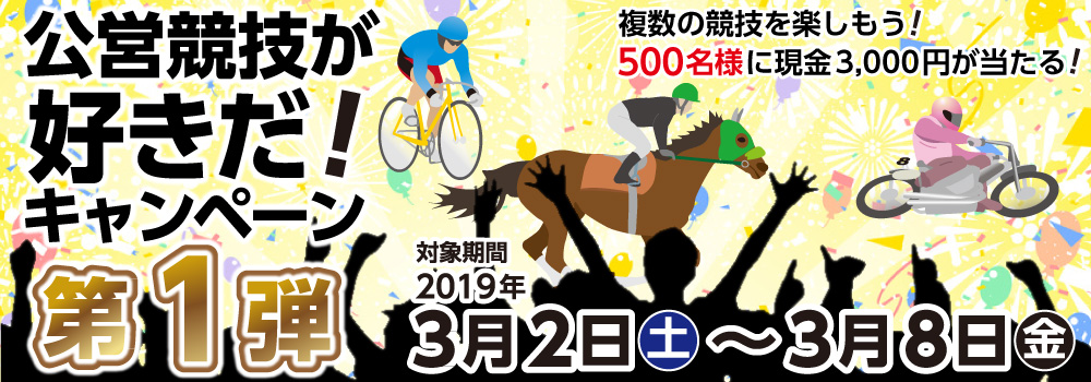cZDILy[1e@Ώۊԁ@2019N32iyj`38ij@̋ZyI500lɌ3,000~I
