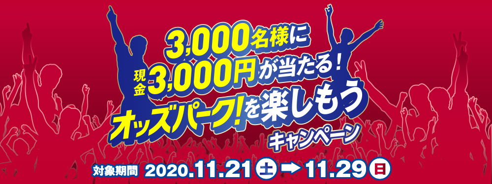 3,000lɌ3,000~IIbYp[NyLy[@Ώۊԁ@2020N1121iyj`1129ij