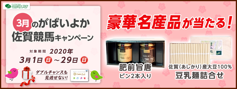 3̂΂悩ꋣnLy[@Ώۊԁ@2020N31ij`329ij@ؖYiI@ؖYiI@O|@r2{@ijY哤100@ˋl