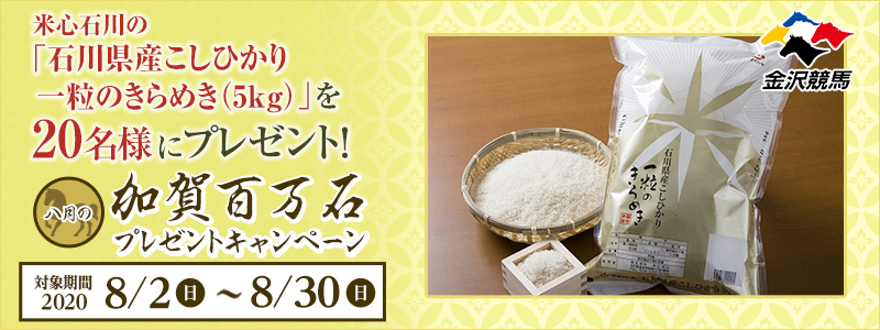 y򋣔nz̉S΃v[gLy[@Ώۊԁ@2020N82ij`830ijĐSΐ́uΐ쌧YЂ ꗱ̂߂i5kgjv20lɃv[gI