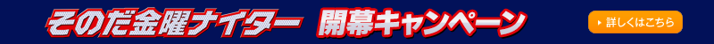 ̂jiC^[JLy[͂