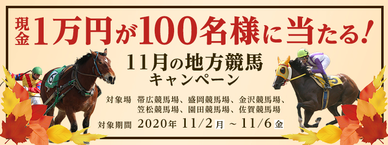 11̒nnLy[@Ώۊԁ@2020N112ij`116ij@Ώۏ@эLnAnA򋣔nA}nAcnAꋣn@1~100lɓI