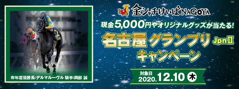 ÉOviJpnIIjLy[ Ώۓ 2020N1210i؁j5,000~IWiObYI NxDnFf}[ RF 