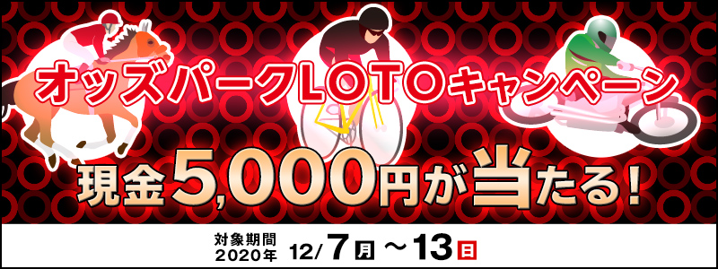 IbYp[NLOTOLy[@Ώۊԁ@2020N127ij`1213ij5,000~I
