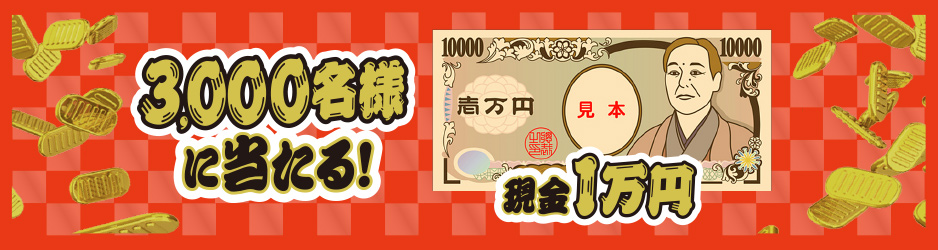 3,000lɓI1~