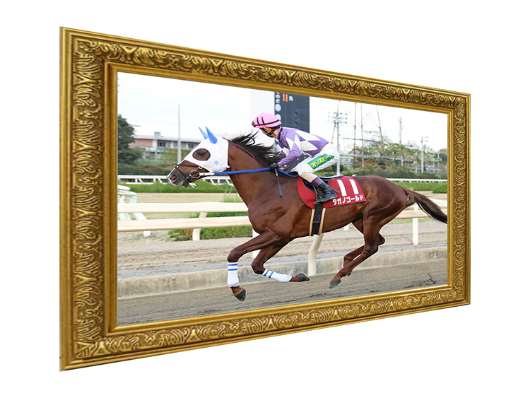 額縁入り 園田金盃優勝馬ゴール写真パネル