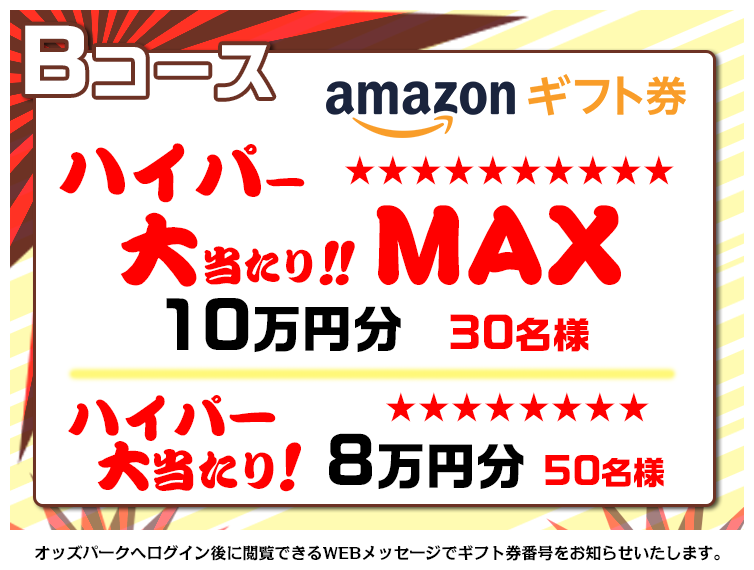 BR[X@EnCp[哖MAXFAmazonMtg10~ 30lEnCp[哖FAmazonMtg8~ 50l@IbYp[NփOCɉ{łWEBbZ[WŃMtgԍm点܂B