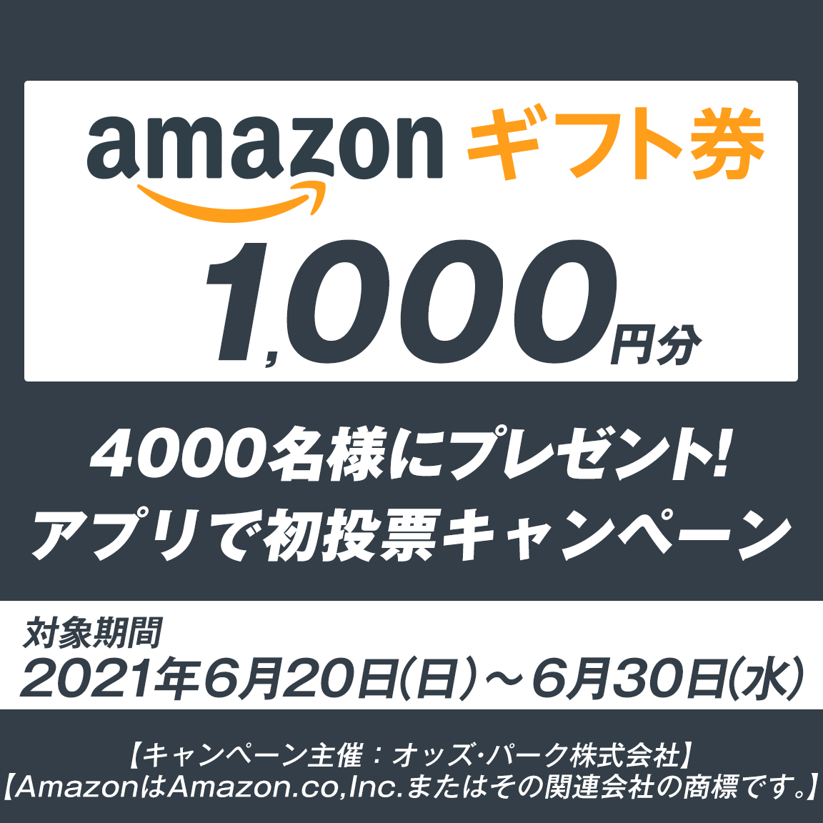 AmazonMtg1,000~v[gIAvŏ[Ly[