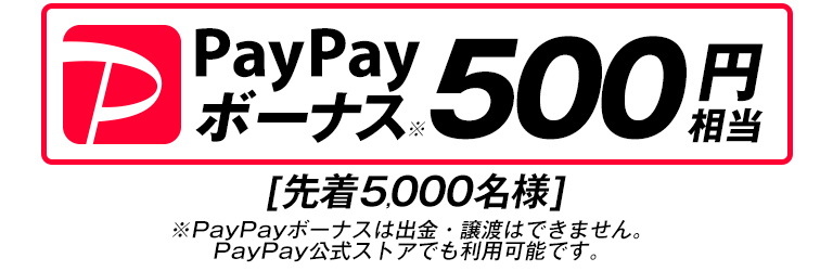 PayPay{[iX500~