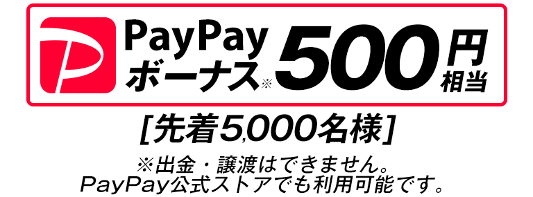 PayPay{[iX500~