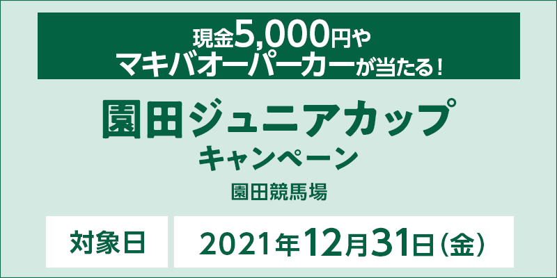 cWjAJbvLy[@Ώۓ@2021N1231ij@Ώۏ@cn@5,000~}LoI[p[J[I