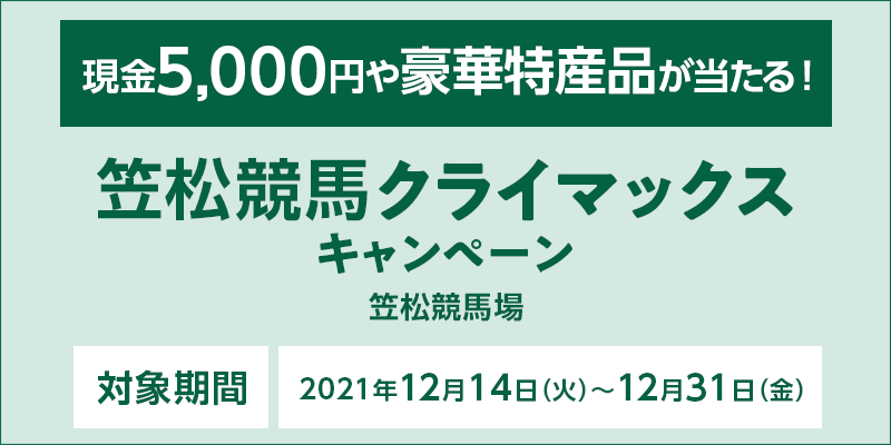 }nNC}bNXLy[@Ώۊԁ@2021N1214i΁j`1231ij@5,000~⍋ؓYiI@Ώۏ@}n