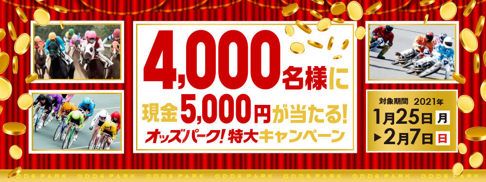 4,000lɌ5,000~IIbYp[NLy[ Ώۊԁ@2021N125ij`27ij
