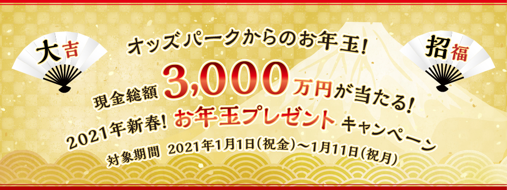 2021NVtINʃv[gLy[ Ώۊԁ@2021N11ijj`111ijjIbYp[N̂NʁIz3,000~I