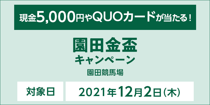 cuLy[@Ώۓ@2021N122i؁j@Ώۏ@cn@5,000~QUOJ[hI