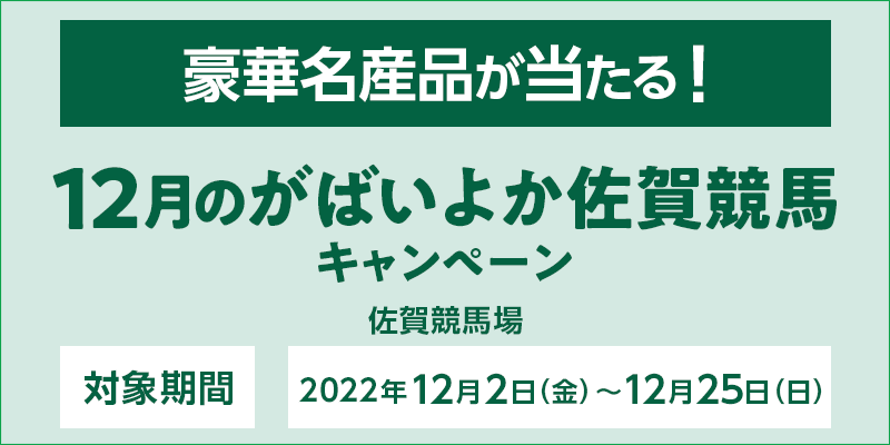 12̂΂悩ꋣnLy[@Ώۊԁ@2022N122ij`1225ij@Ώۏ@ꋣn@ؖYiI
