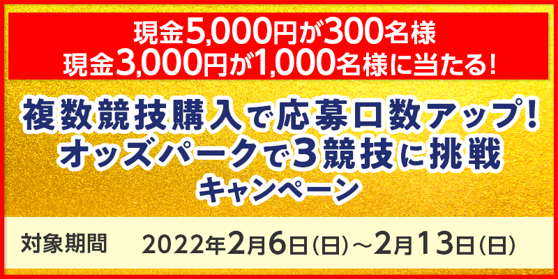 ZwŉAbvIIbYp[N3ZɒLy[@Ώۊԁ@2022N26ij`213ij@5,000~300lA3,000~1,000lɓI