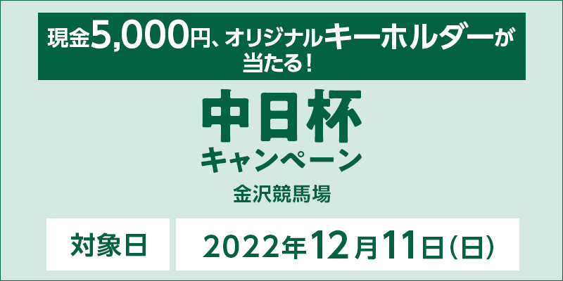 y򋣔nztLy[@Ώۓ@2022N1211ij@5,000~AIWiL[z_[I@Ώۏ@򋣔n