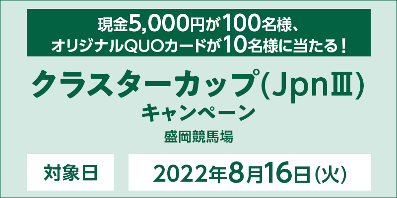 y苣nzNX^[JbviJpnIIIjLy[@Ώۓ@2022N816i΁j@Ώۏ@n@5,000~100lAIWiQUOJ[h10lɓI