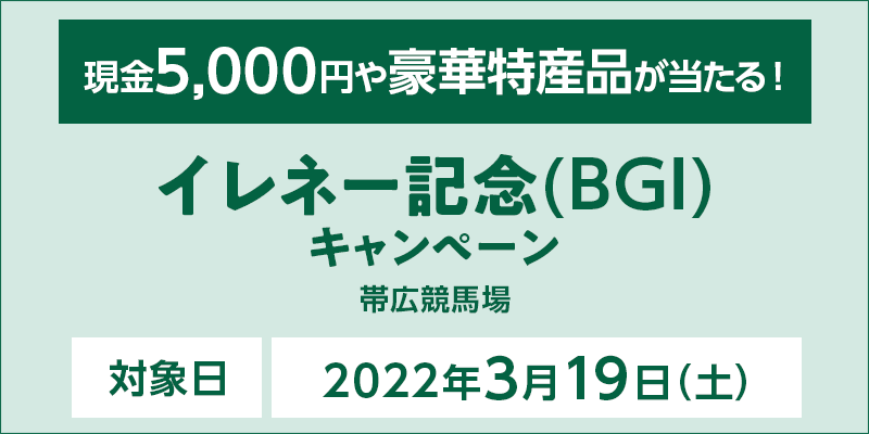 y΂񂦂nzCl[LOiBGIjLy[@Ώۓ@2022N319iyj@5,000~⍋ؓYiI@Ώۏ@эLn