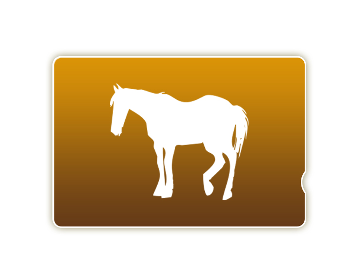 JBCクラシック(JpnI)優勝馬QUOカード(2,000円分)
