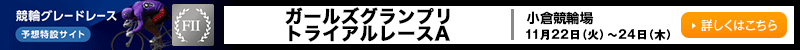 փO[h[X\z݃TCg@q֏@K[YOvgCA[XAiFIIj@2022N1122i΁j`1124i؁j@ڂ͂