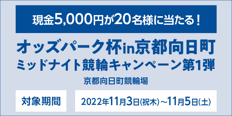 IbYp[Ntins~bhiCgփLy[1e@Ώۊԁ@2022N113ij؁j`115iyj@Ώۏ@s֏@5,000~20lɓI