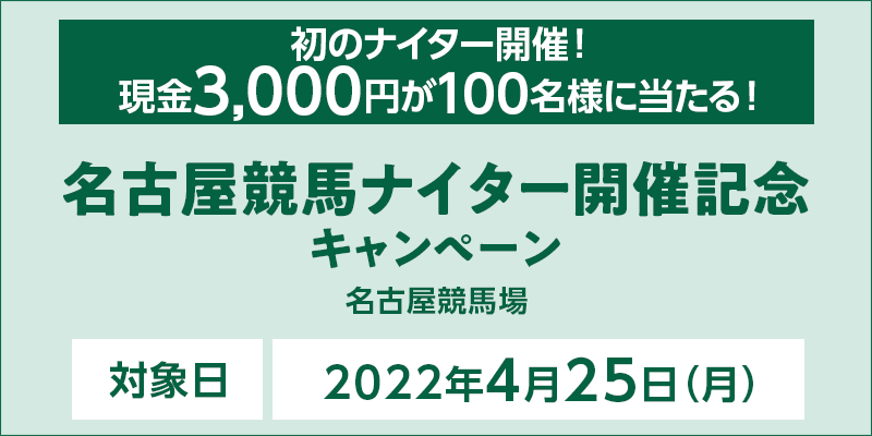 ÉniC^[JËLOLy[@Ώۓ@2022N425ij@̃iC^[JÁI@3,000~100lɓI@Ώۏ@Én