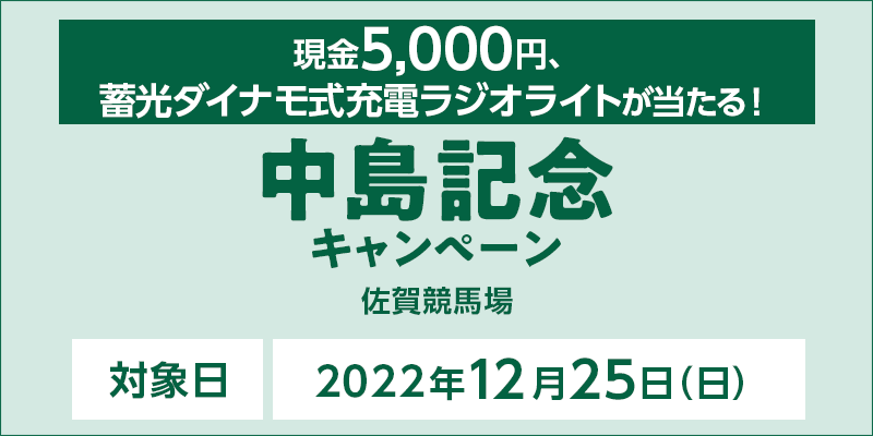 yꋣnzLOLy[@Ώۓ@2022N1225ij@5,000~A~_Ci[dWICgI@Ώۏ@ꋣn