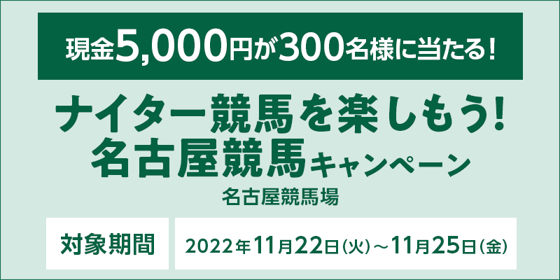 iC^[nyIÉnLy[@Ώۊԁ@2022N1122i΁j`1125ij@5,000~300lɓI@Ώۏ@Én