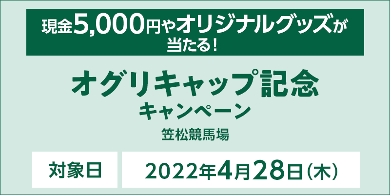 y}nzIOLbvLOLy[@Ώۓ@2022N428i؁j@5,000~IWiObYI@Ώۏ@}n