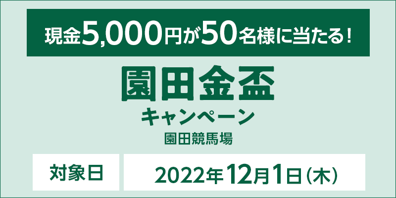 cuLy[@Ώۓ@2022N121i؁j@5,000~50lɓI@Ώۏ@cn