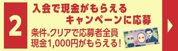Ō炦Ly[ɉ@NAŉґSɌ1,000~炦I