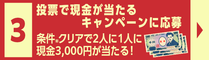 [ŌLy[ɉ@NA2l1lɌ3,000~I
