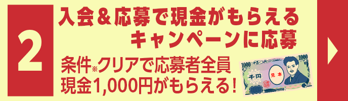 Ō炦Ly[ɉ@NAŉґSɌ1,000~炦I
