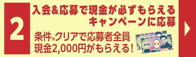 ŌK炦Ly[ɉ@NAŉґSɌ2,000~炦I