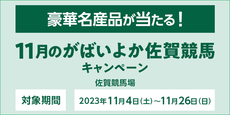 11̂΂悩ꋣnLy[@Ώۊԁ@2023N114iyj`1126ij@ؖYiI@Ώۏ@ꋣn