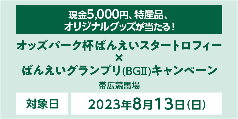 IbYp[Nt΂񂦂X^[gtB[~΂񂦂OviBGIIjLy[@Ώۓ@2023N813ij@5,000~AYiAIWiObYI@Ώۏ@эLn