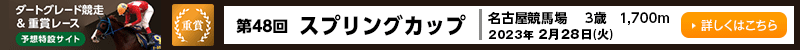 _[gO[hd܃[X\z݃TCg@Én@48XvOJbv@2023N228i΁j@ڂ͂