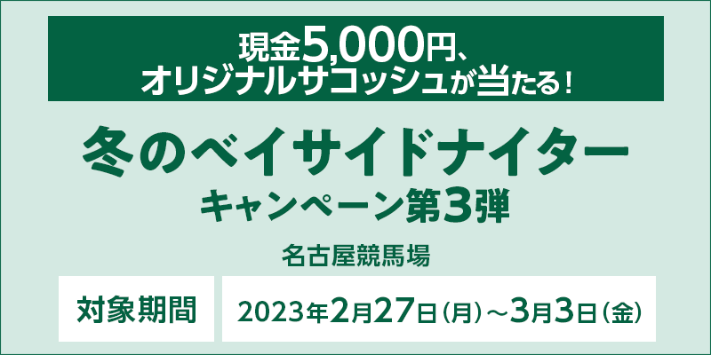 yÉnz~̃xCTChiC^[Ly[3e@Ώۊԁ@2023N227ij`33ij@5,000~AIWiTRbVI@Ώۏ@Én