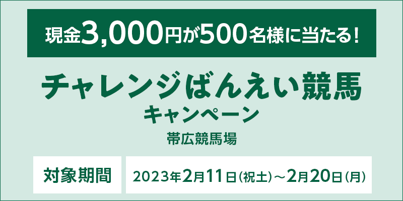 `W΂񂦂nLy[@Ώۊԁ@2023N211ijyj`220ij@3,000~500lɓI@Ώۏ@эLn