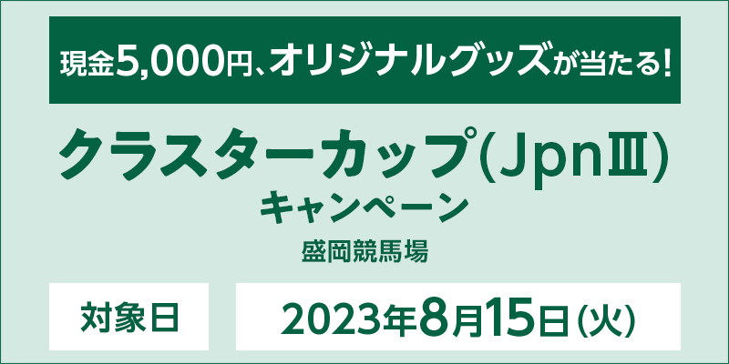 y苣nzNX^[JbviJpnIIIjLy[@Ώۓ@2023N815i΁j@5,000~AIWiObYI@Ώۏ@n