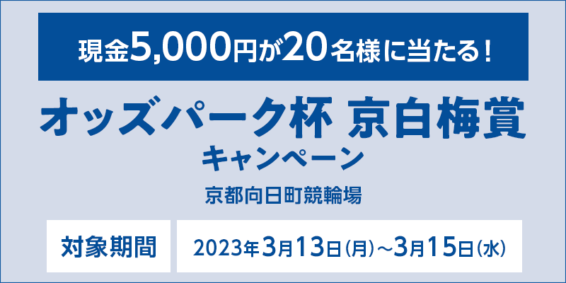 ysցzIbYp[Nt ~܃Ly[@Ώۊԁ@2023N313ij`315ij@5,000~20lɓI@Ώۏ@s֏