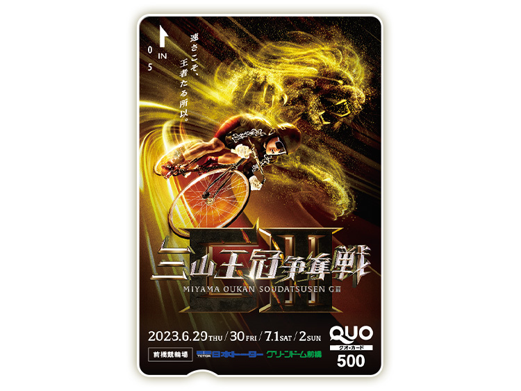 三山王冠争奪戦(GIII)オリジナルQUOカード(500円分)