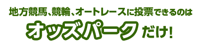 nAցAI[g[Xɓ[ł̂̓IbYp[NI