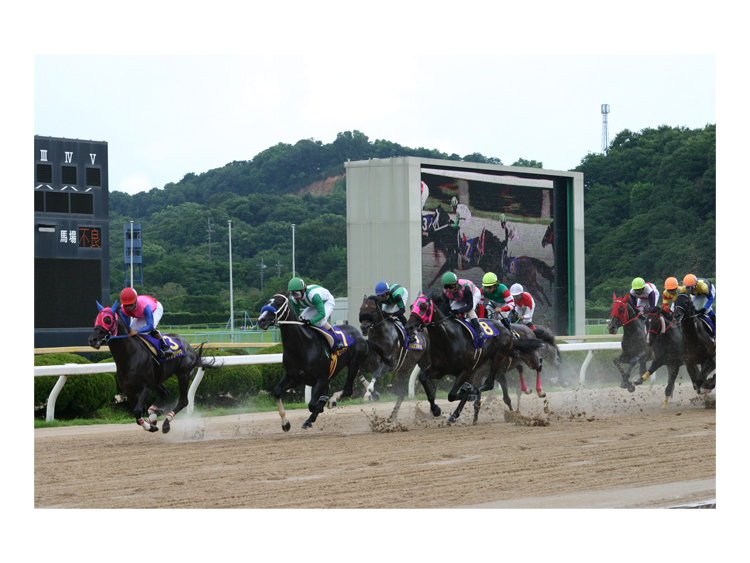 佐賀競馬サマーチャンピオン(JpnIII)観戦ツアー参加権(合計最大20名様)