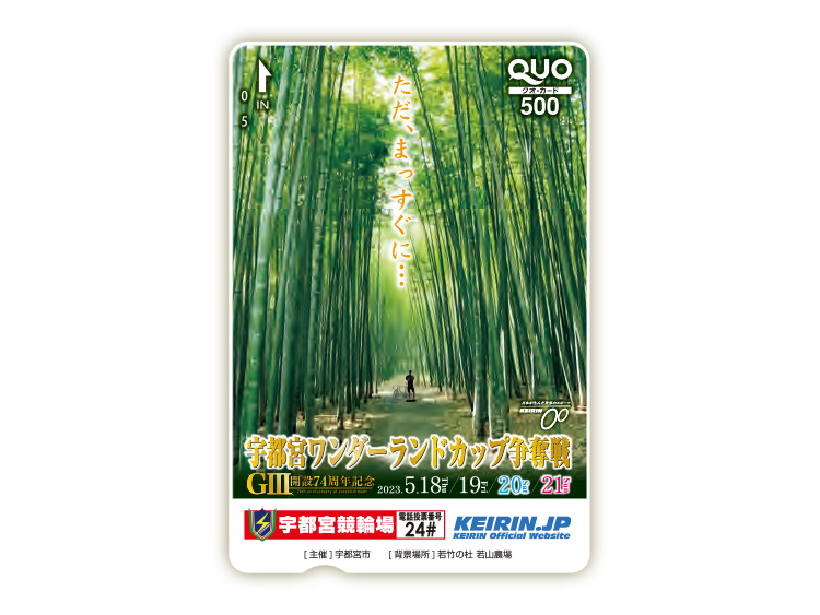 宇都宮ワンダーランドカップ争奪戦(GIII)オリジナルQUOカード(500円分)