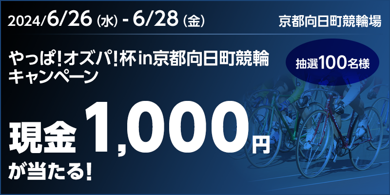 ρIIYpItinsփLy[ Ώۊ 2024N626ij`628ij 1,000~I I100l s֏