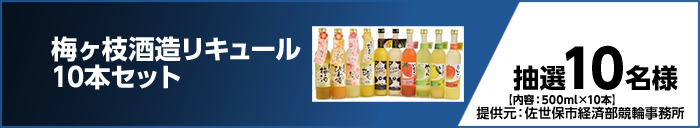 梅ヶ枝酒造リキュール10本セット 抽選10名様 【内容:500ml×10本】提供元:佐世保市経済部競輪事務所